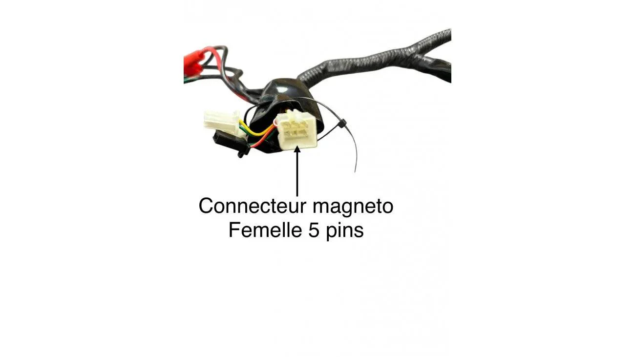 [16] COUETTE PRINCIPALE AR-50 (2021-2023) RPB7-3-1 (SCOOTTERRE OEM) - Image 2