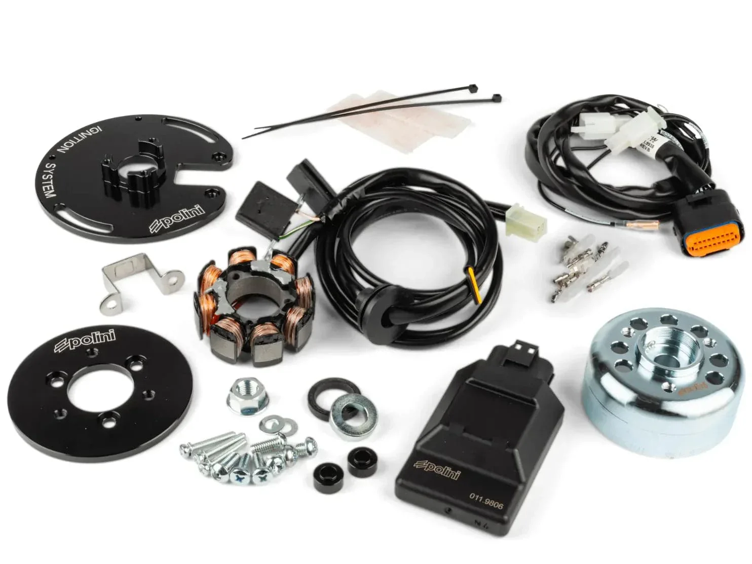 Enternal Rotor Ignition Polini For Race Minarelli