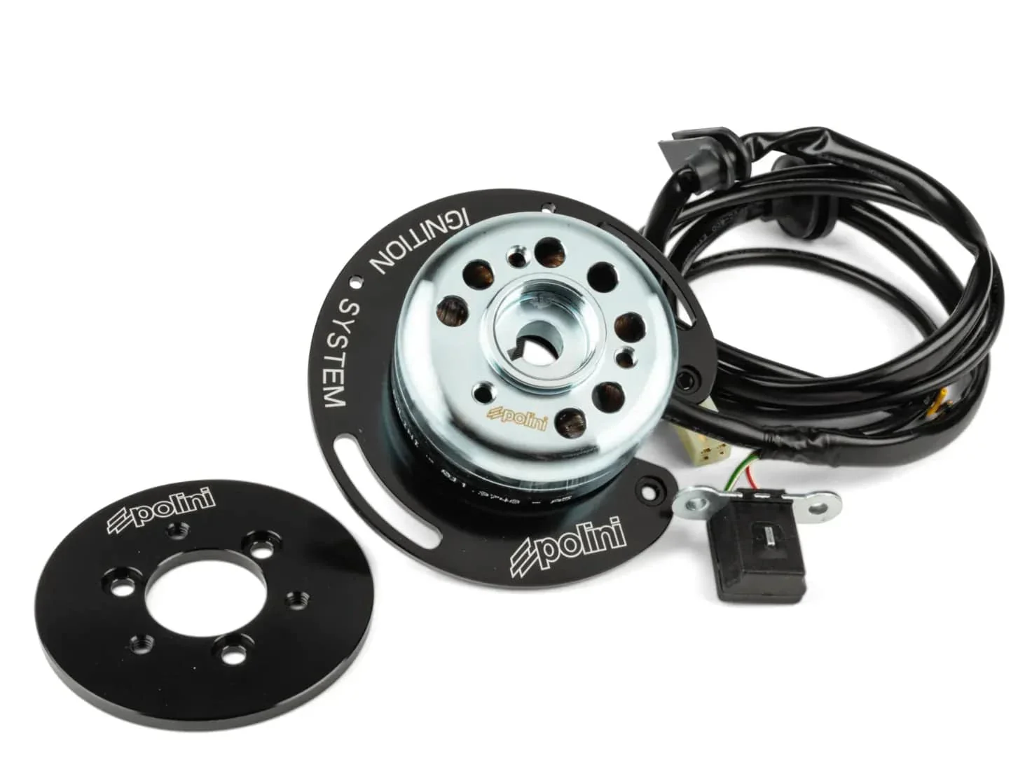 Enternal Rotor Ignition Polini For Race Minarelli - Image 2