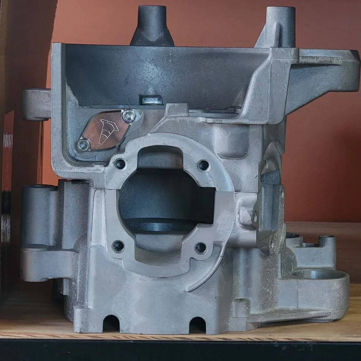 Oil Pump Delete Cover (Minarelli / Adly) - Image 2